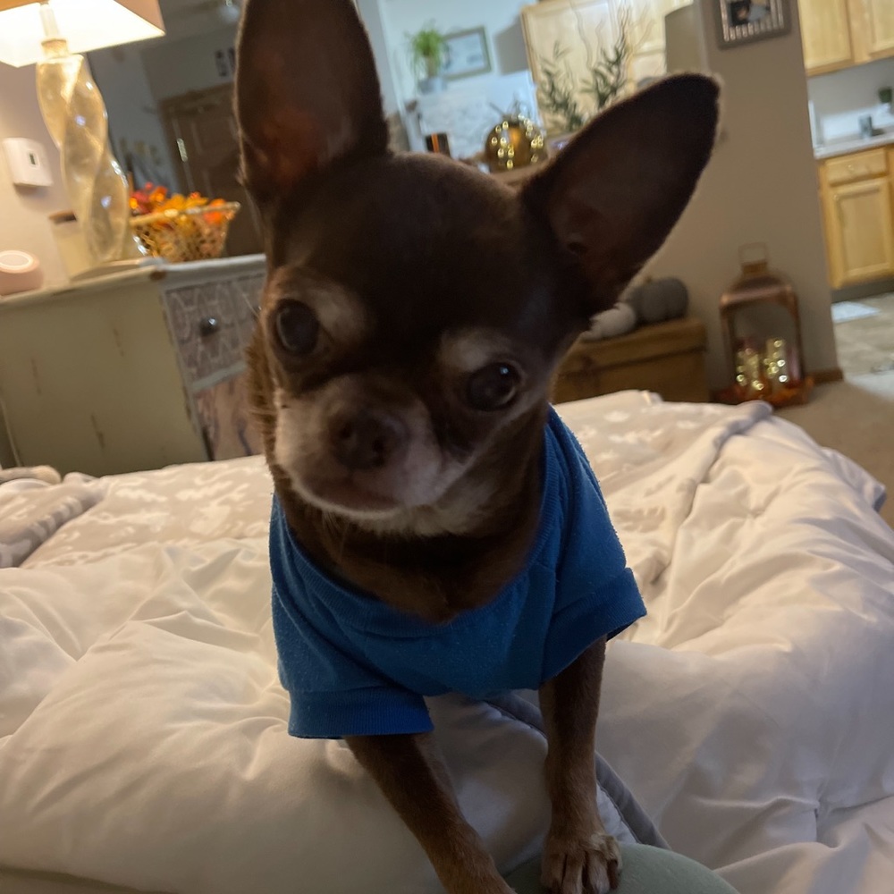 What u lookin at ‼️‼️ 😂😍❤️